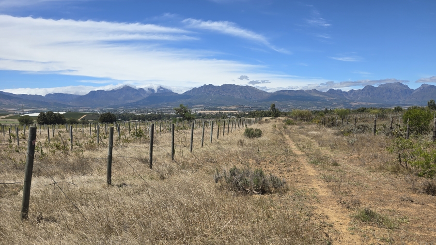 Commercial Property for Sale in Paarl Rural Western Cape